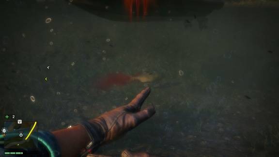 Far Cry 4 (PS4) Screenshot