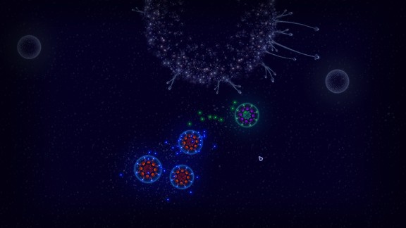 Microcosmum: survival of cells Screenshot