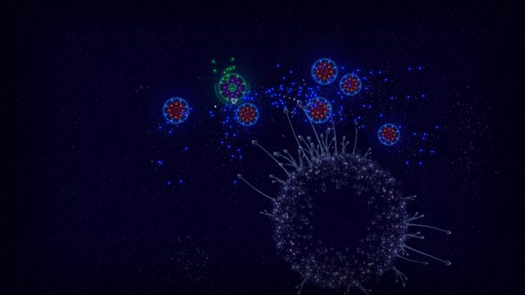 Microcosmum: survival of cells Screenshot