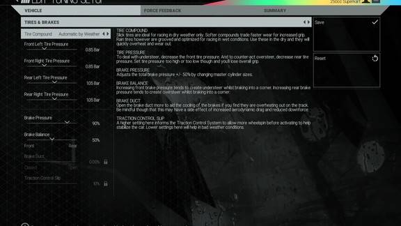 Project Cars Screenshot
