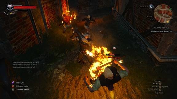 The Witcher 3 Screenshot