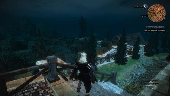 The Witcher 3 Screenshot