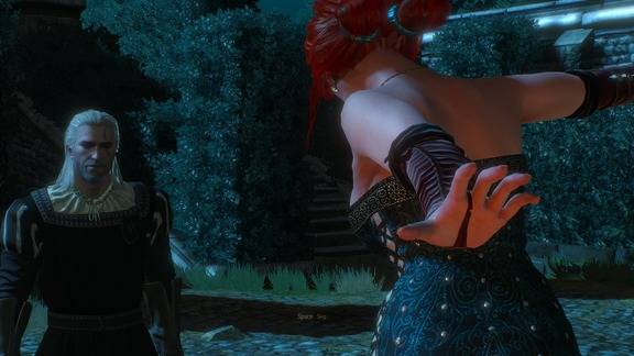 The Witcher 3 Screenshot