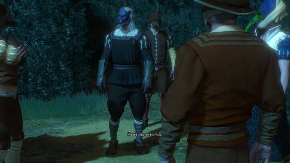 The Witcher 3 Screenshot