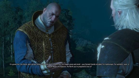 The Witcher 3 Screenshot