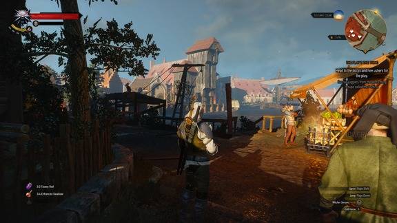 The Witcher 3 Screenshot