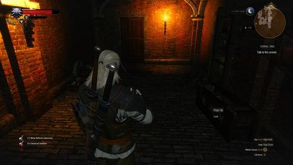 The Witcher 3 Screenshot