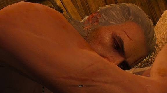 The Witcher 3 Screenshot